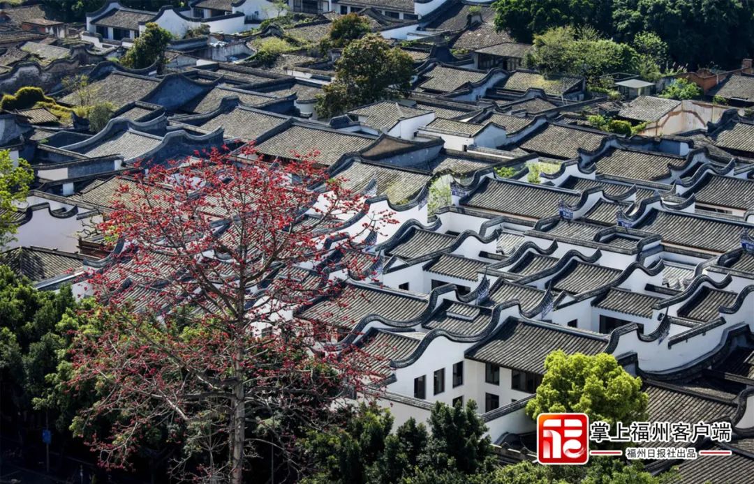 福州城市形象標識設計萬眾期待中 福州城市形象標識設計萬眾期待中